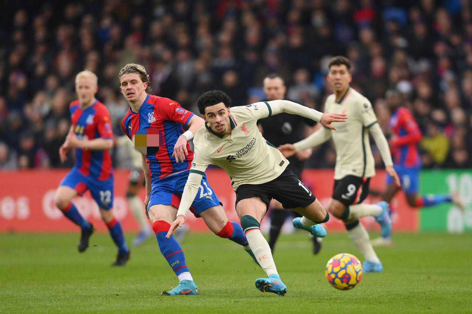 的新篇章 的新篇章