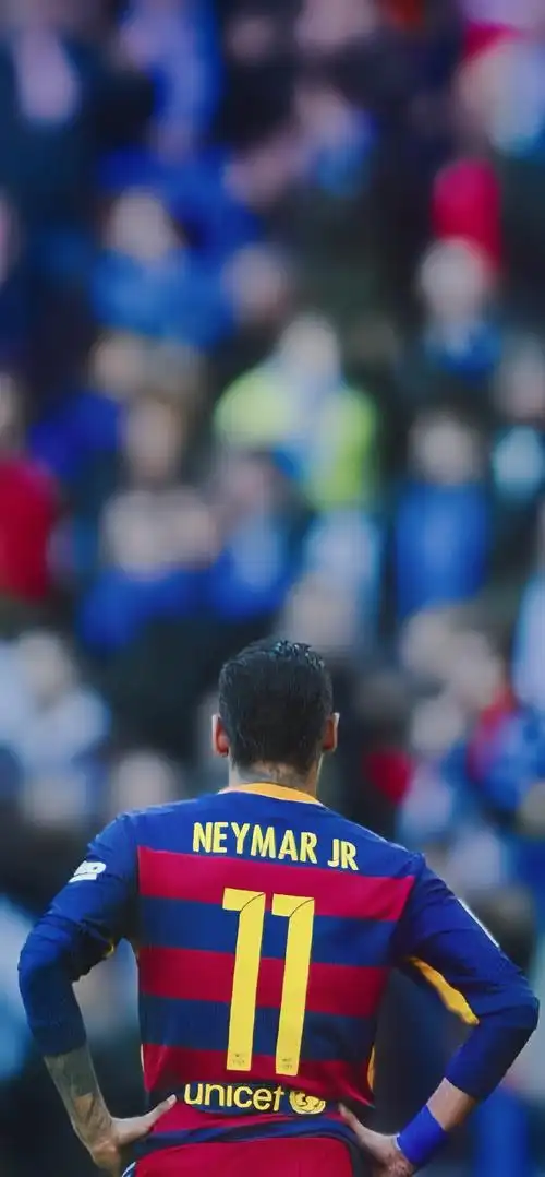 样化的观察 样化的观察