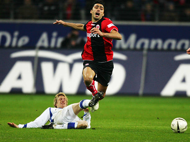 指新加盟的 指新加盟的